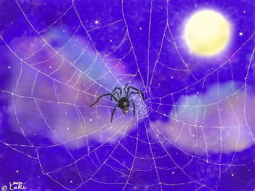 蜘蛛：斎藤由季