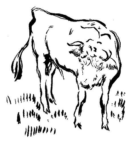 牡牛：ボナール