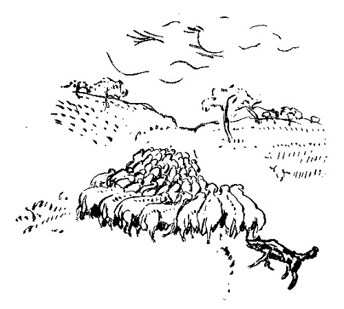 羊：ボナール